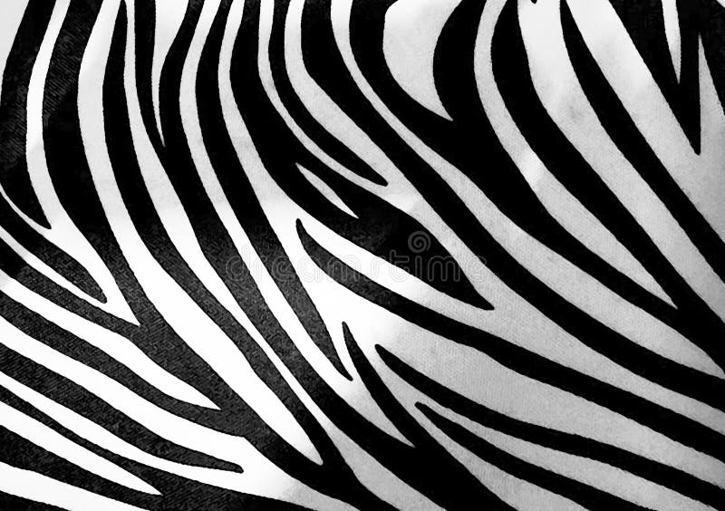 Download A Pink And Black Zebra Print Wallpaper Wallpaper  Wallpaperscom