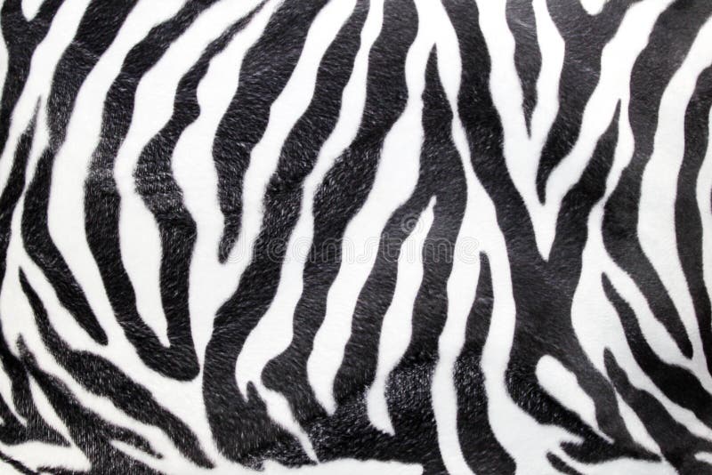 5,218 Zebra Print Background Stock Photos - Free & Royalty-Free Stock  Photos from Dreamstime