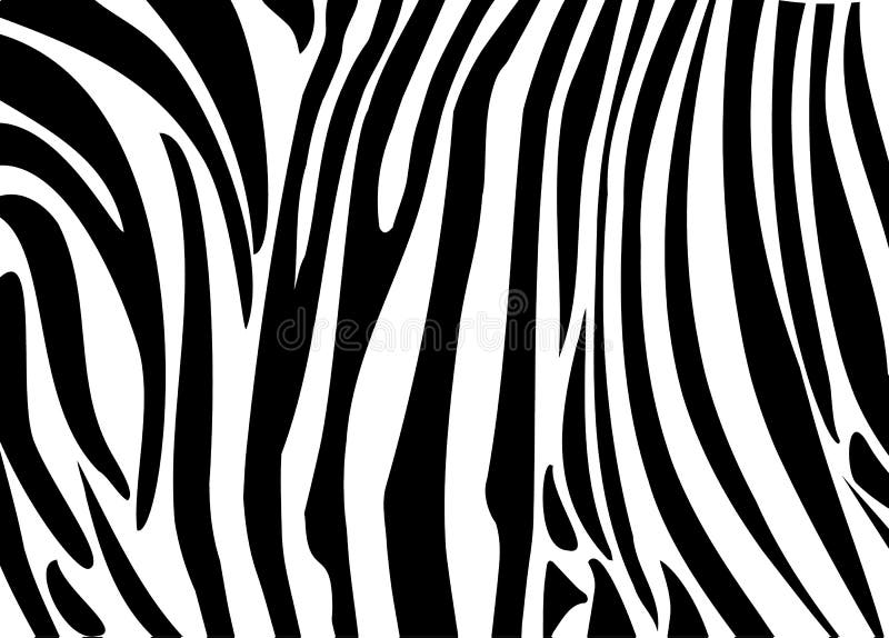 Zebra PRINT stock illustration Zebra PRINT stock illustration
