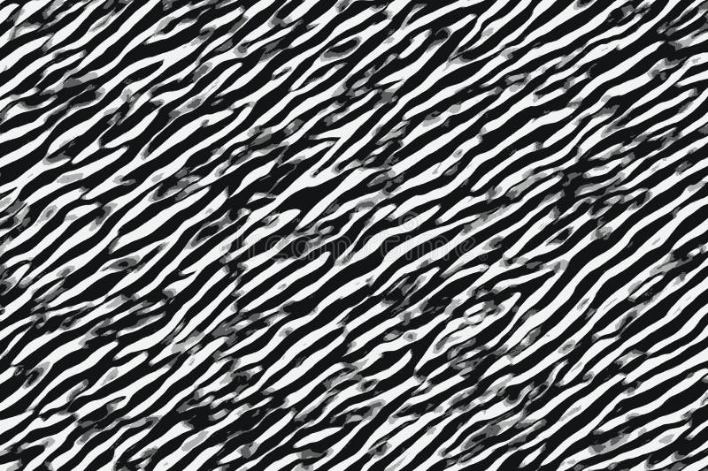 Zebra black and white stripes and skin patterns