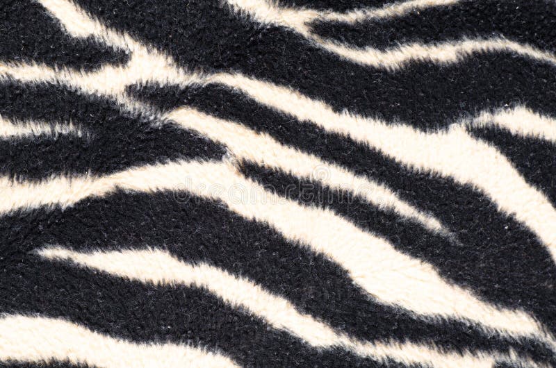 Zebra blanket stock photography Zebra blanket stock photography