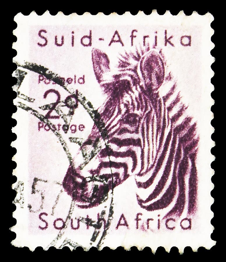 zebra do Equus, vida selvagem na África do Sul, série do Parque Kruger, cerca de 1954 imagens de stock zebra do Equus, vida selvagem na África do Sul, série do Parque Kruger, cerca de 1954 imagens de stock