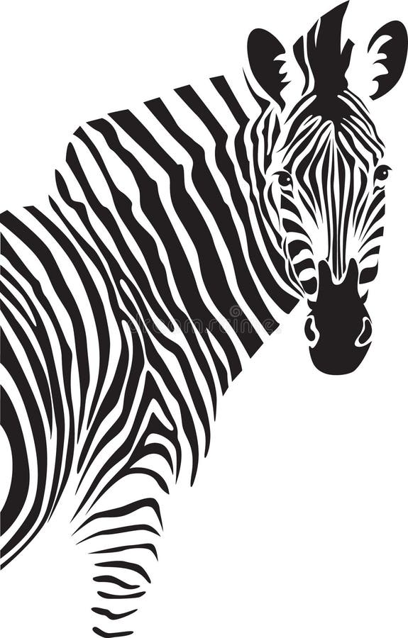 Zebra. Illustration. stock vector. Illustration of fauna - 34901889