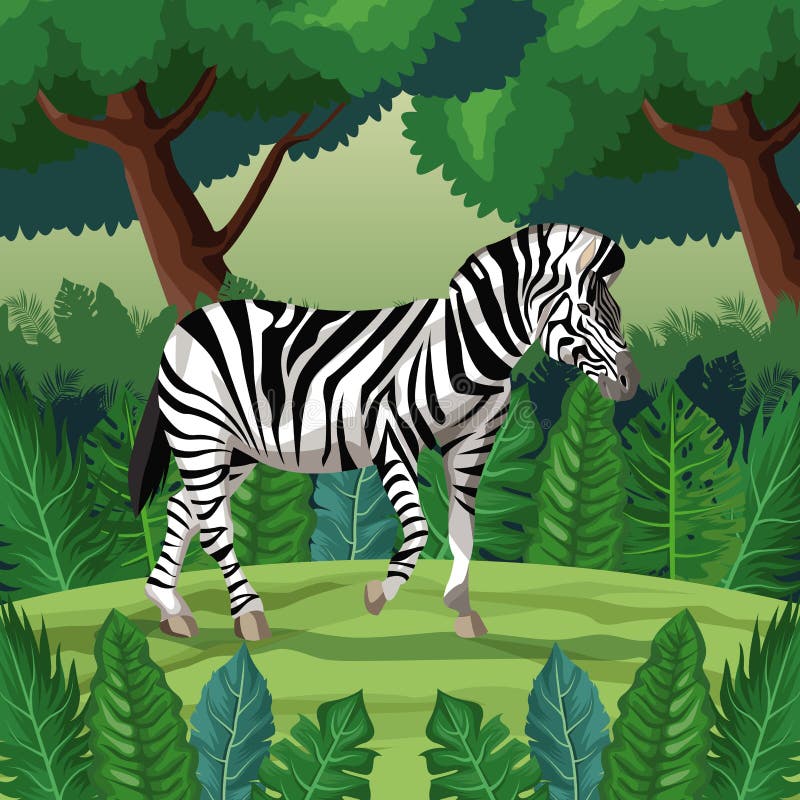 Zebra nella giungla illustrazione di stock