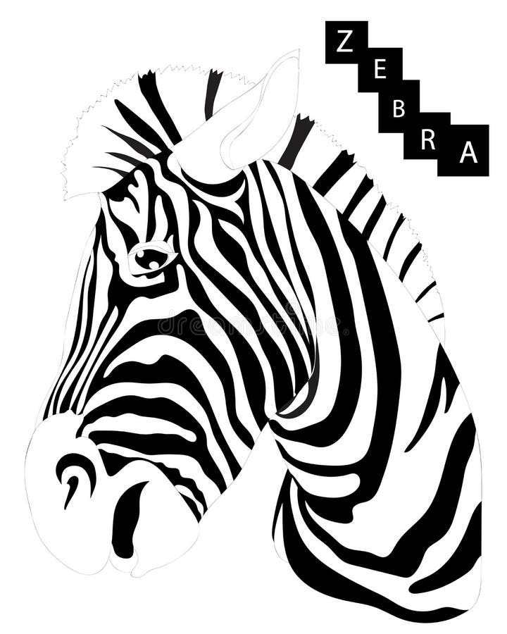 Zebra odizolowana na białym tle ilustracji