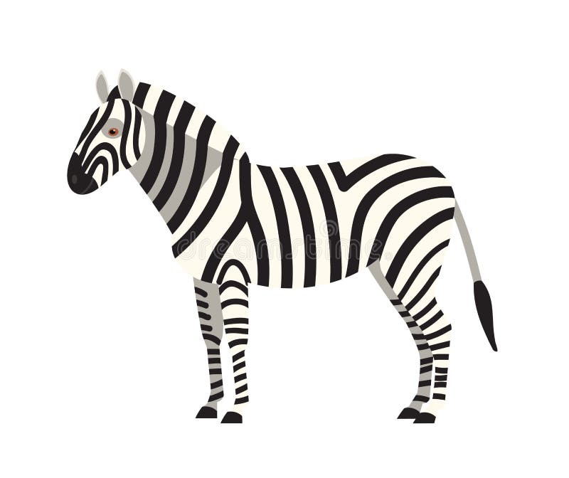 Zebra odizolowywająca na białym tle Portret oszałamiająco dziki trawożerny zwierzę z stripy żakietem Pełen wdzięku egzot ilustracji