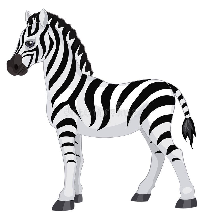 Zebra odizolowywająca na białym tle również zwrócić corel ilustracji wektora royalty ilustracja