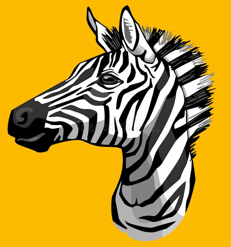 Zebra Portrait