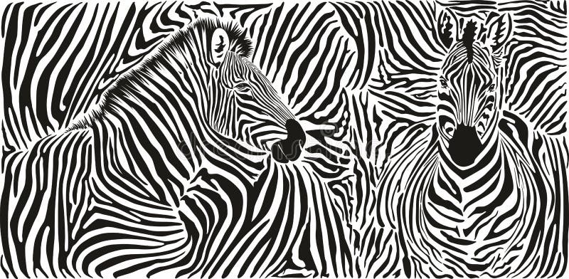 Zebra Skin Pattern with Two Heads Stock Vector - Illustration of safari