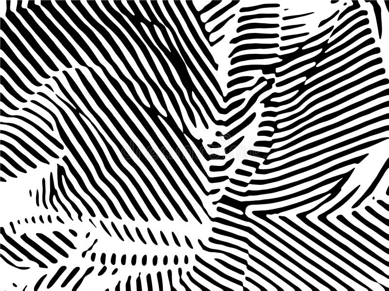 Zebra streift Muster Zebradruck, Tierhaut, Tigerstreifen, abstraktes Muster, Linie Hintergrund, Gewebe vektor abbildung