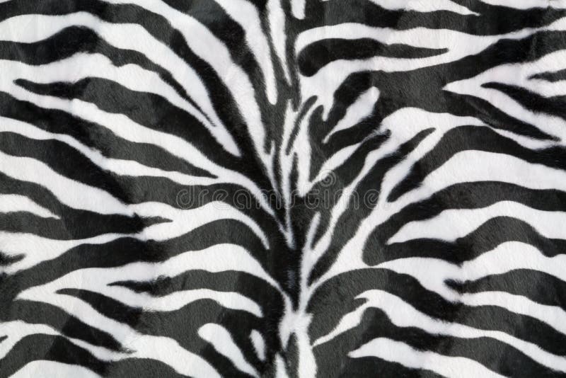 Zebrabeschaffenheitshintergrund lizenzfreie stockfotografie Zebrabeschaffenheitshintergrund lizenzfreie stockfotografie