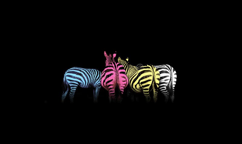 Zebras coloridas CMYK