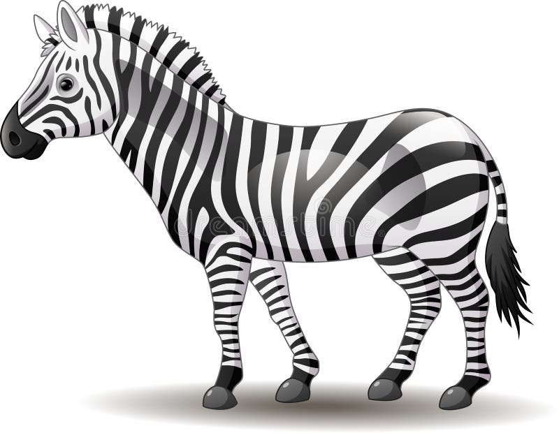 Zebră caricaturală care se prezintă izolată pe fond alb stock illustration