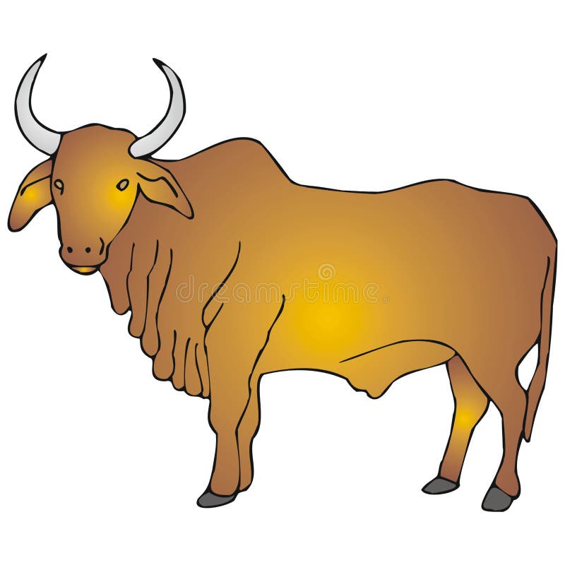 Zebu Stock Vector Illustration Of Taurus Drawing India Zebu Stock Vector Illustration Of Taurus Drawing India