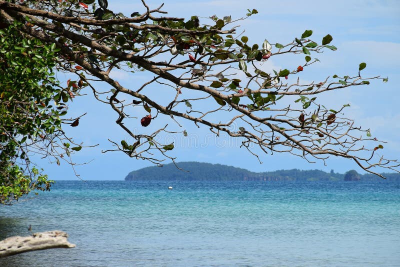 Zeegezicht met berg en boom bij oceaan Koh Chang-eiland, Thailand royalty-vrije stock foto Zeegezicht met berg en boom bij oceaan Koh Chang-eiland, Thailand royalty-vrije stock foto
