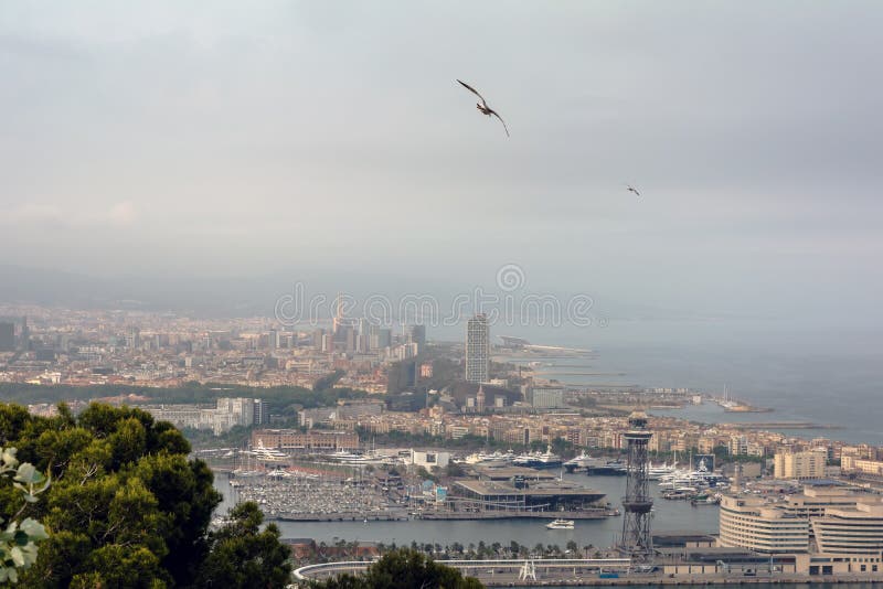 Zeemeeuw die over de stad van Barcelona vliegen stock foto's Zeemeeuw die over de stad van Barcelona vliegen stock foto's