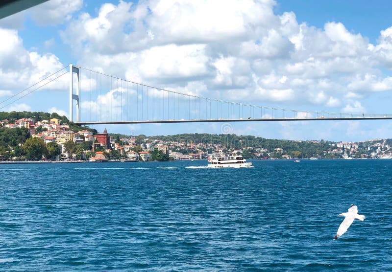 Zeemeeuwen over de Bosphorus-Straat royalty-vrije stock afbeeldingen Zeemeeuwen over de Bosphorus-Straat royalty-vrije stock afbeeldingen
