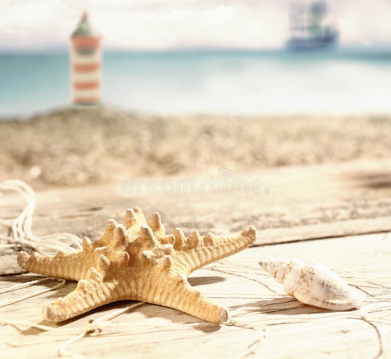 Starfish and a seashell lying in the hot summer sun on old wooden boards at the seaside with a beach and lighthouse visible behind, shallow dof. Starfish and a seashell lying in the hot summer sun on old wooden boards at the seaside with a beach and lighthouse visible behind, shallow dof