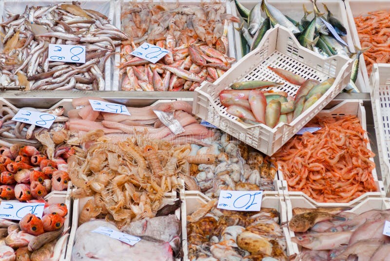 Zeevruchten in een vissenmarkt royalty-vrije stock afbeelding Zeevruchten in een vissenmarkt royalty-vrije stock afbeelding