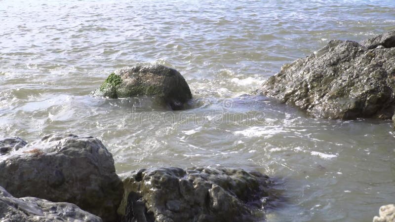 Zeewaterwalsen over rotzalig strand. media. vuile golven breken op stenen. zeegolven kalm over rotsen. aangenaam