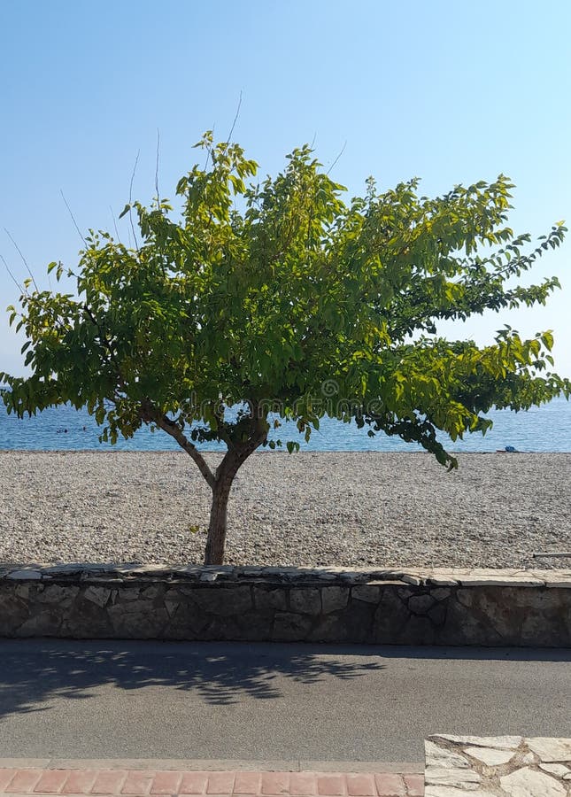 Zeezicht royalty-vrije stock afbeelding