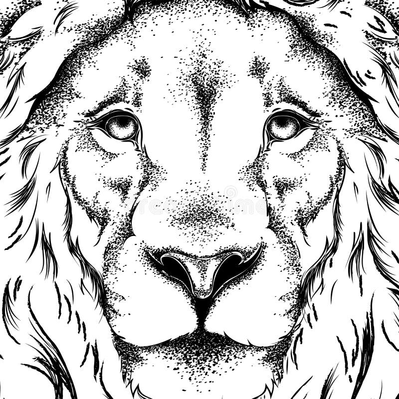 Drawing of a lion`s head. Graphic design of the cover. Template for registration. Vector. Drawing of a lion`s head. Graphic design of the cover. Template for registration. Vector