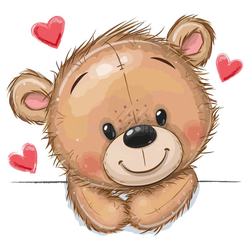 Zeichnung Teddybär Auf Weißem Hintergrund Vektor Abbildung