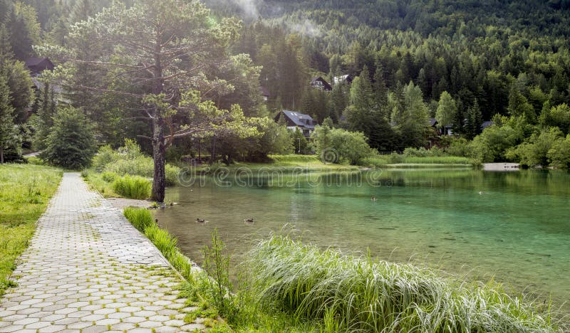 Zelenci-Teich nahe Kranjska Gora, Slowenien lizenzfreie stockfotos Zelenci-Teich nahe Kranjska Gora, Slowenien lizenzfreie stockfotos