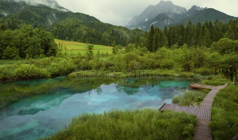Zelenci-Teich in Nationalpark Triglav lizenzfreies stockbild Zelenci-Teich in Nationalpark Triglav lizenzfreies stockbild