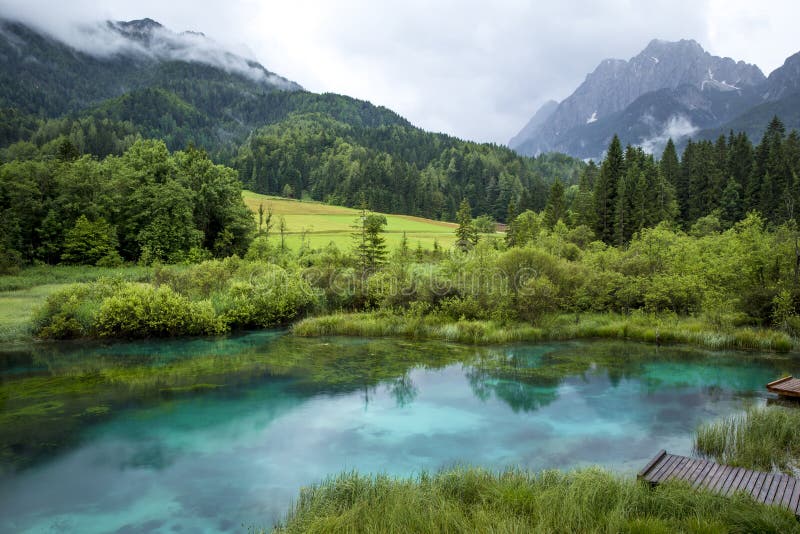 Zelenci-Teich in Slowenien stockbild Zelenci-Teich in Slowenien stockbild