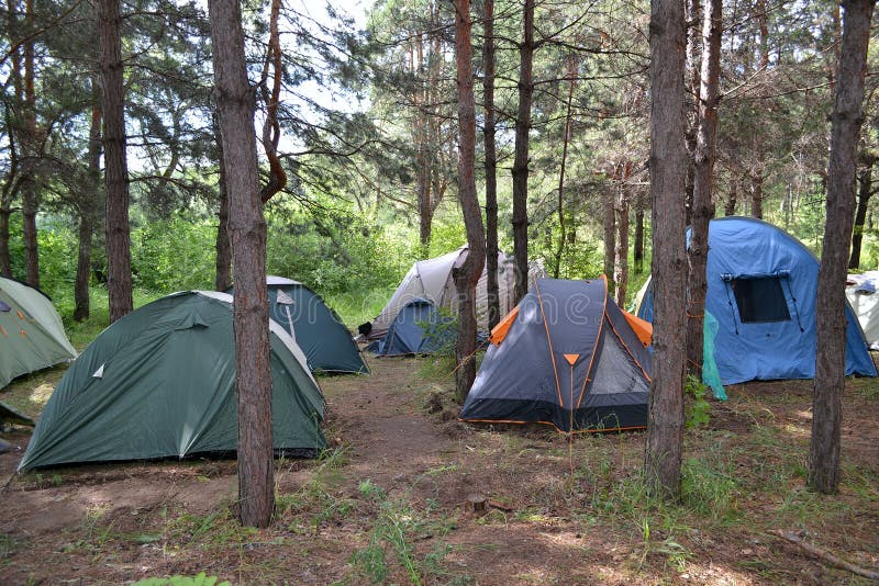 Zeltlager in einem Kiefernwald lizenzfreies stockbild Zeltlager in einem Kiefernwald lizenzfreies stockbild