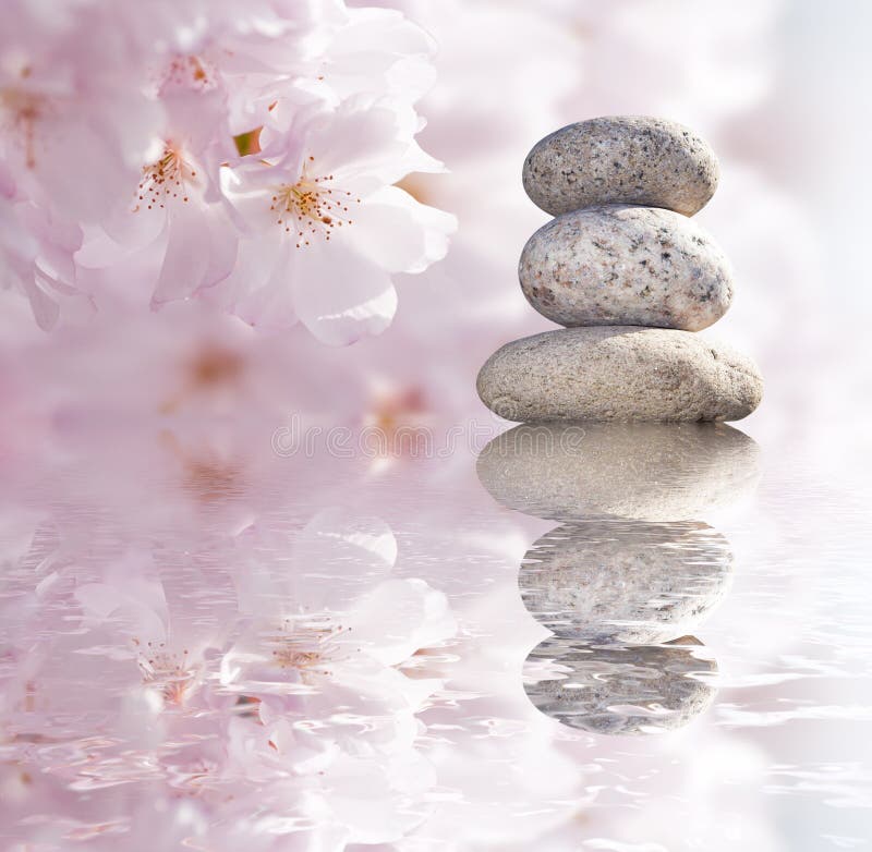 Zen buddhist stones stock photo. Image of flowers, reflected 11483066