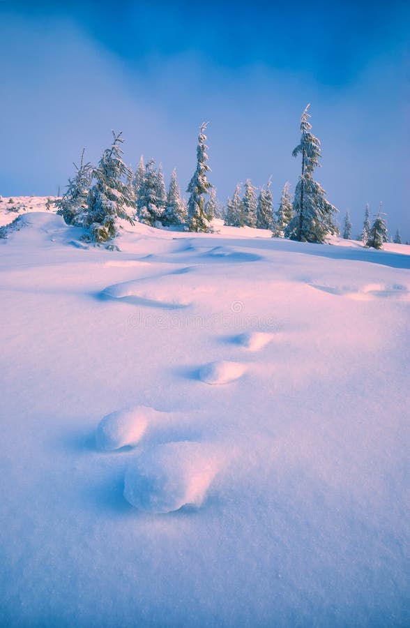 Zen D Hiver Photo Stock Image Du Fantastique Aventure Zen D Hiver Photo Stock Image Du Fantastique Aventure