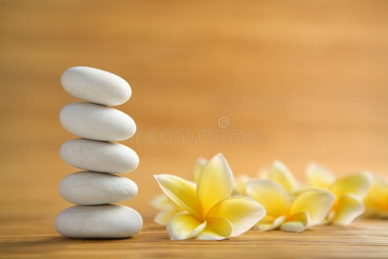 zen en pierre de frangipani image stock zen en pierre de frangipani image stock