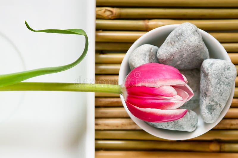 Zen flower stock image. Image of seasonal, spring, perspective 3416623