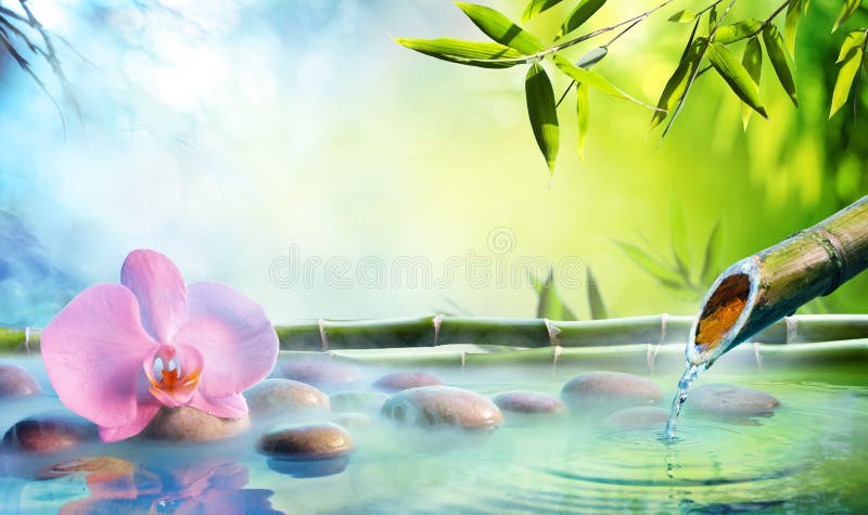 Zen Garden - Orchid In Japanese Fountain With Rocks And Bamboo. Zen Garden - Orchid In Japanese Fountain With Rocks And Bamboo