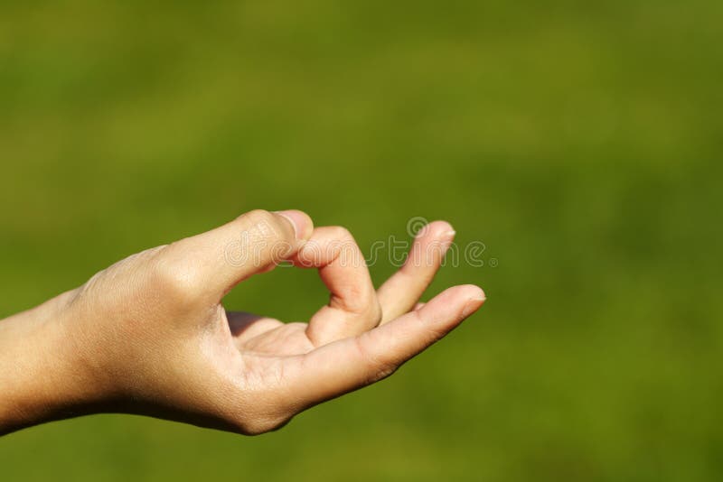 Zen hand stock photo. Image of exercise, health, fingers 2426988