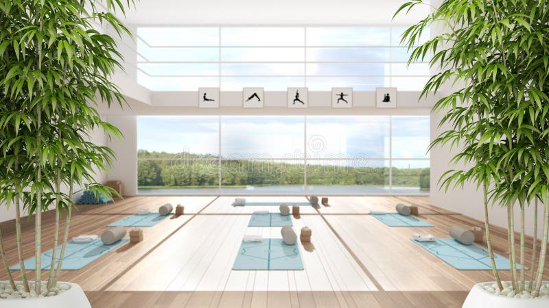 Zen interior with potted bamboo plant, natural interior design concept, empty yoga studio, minimal open space, spatial