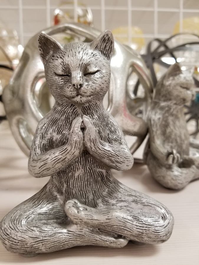 Zen Kitty Cat i Buddhameditation poserar royaltyfria bilder Zen Kitty Cat i Buddhameditation poserar royaltyfria bilder
