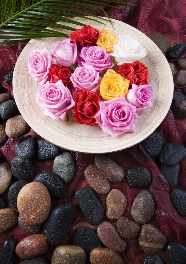 Roses stock photo. Image of plants, bride, bouquets, colorful 2979370