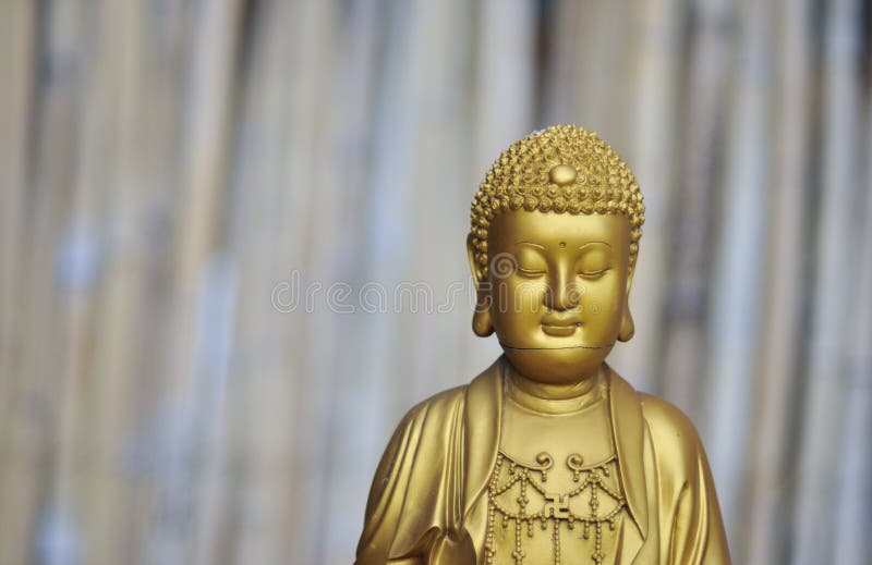 Zen Series 2 Picture. Image 5837813