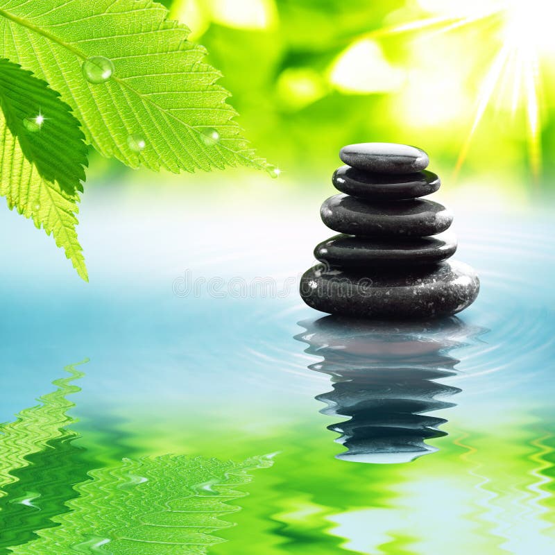 Zen Stones & Green Leaves Stock Image Image of drop, purity 64465171