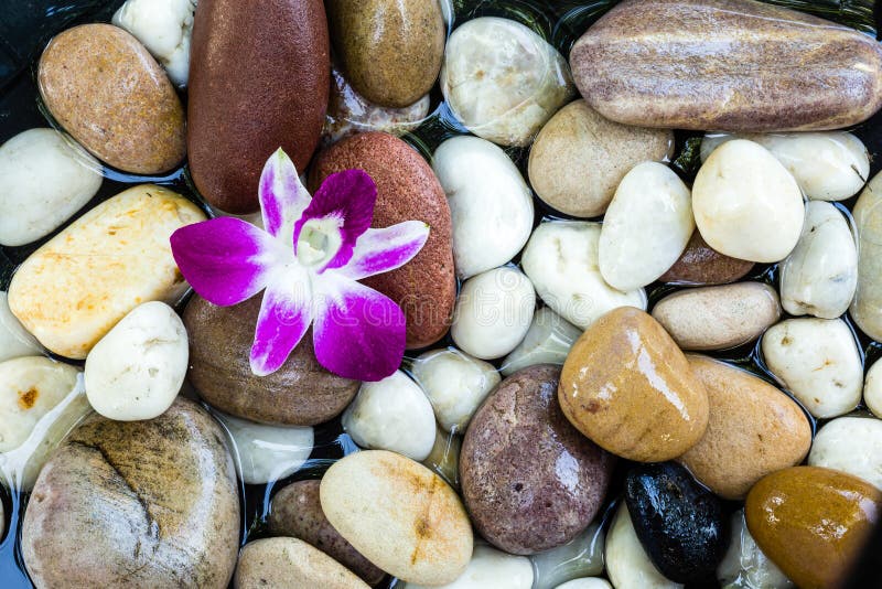 Zen Stones med den rosa orkidén royaltyfri fotografi Zen Stones med den rosa orkidén royaltyfri fotografi