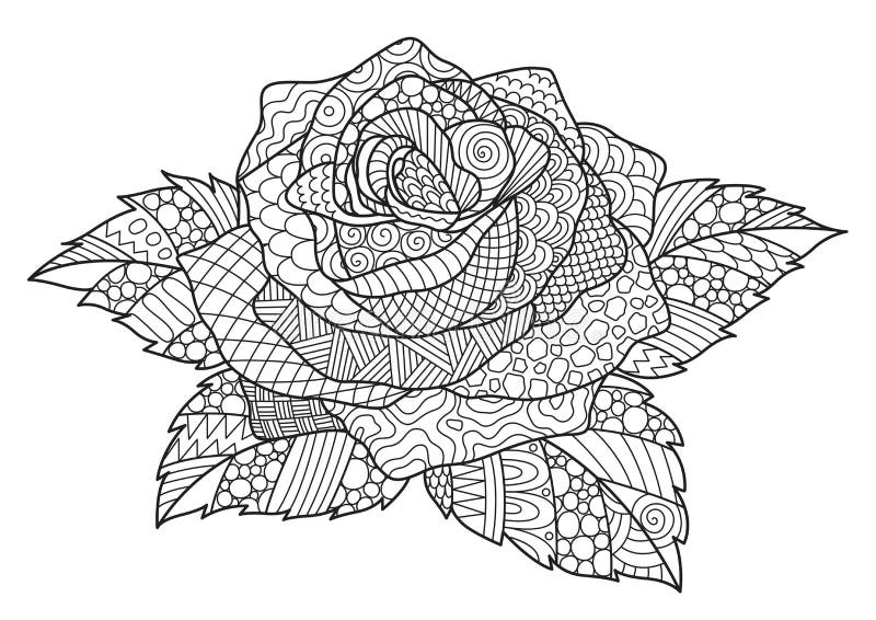 rose coloring page stock illustration illustration of