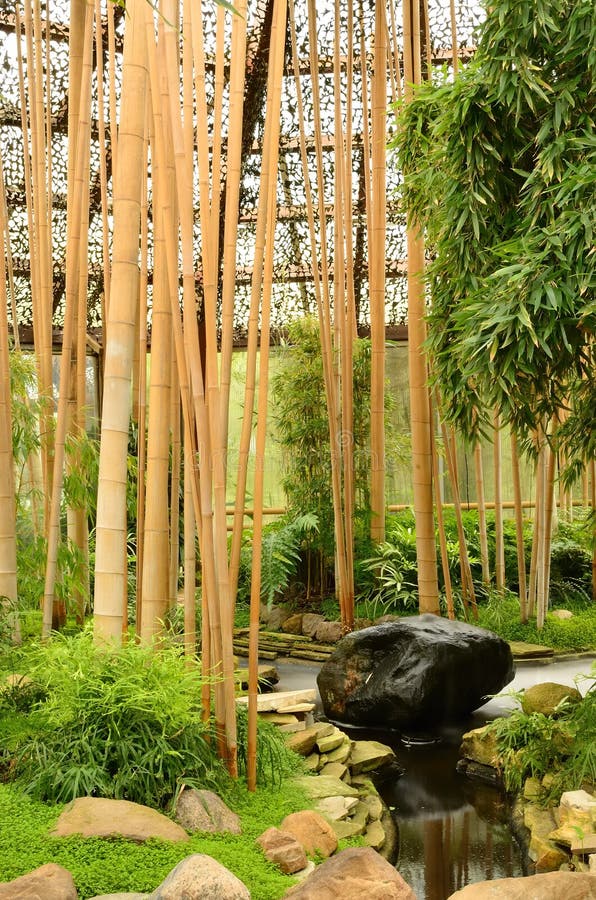 Zengarten des Entspannung stockfoto. Bild von exemplar 31588668