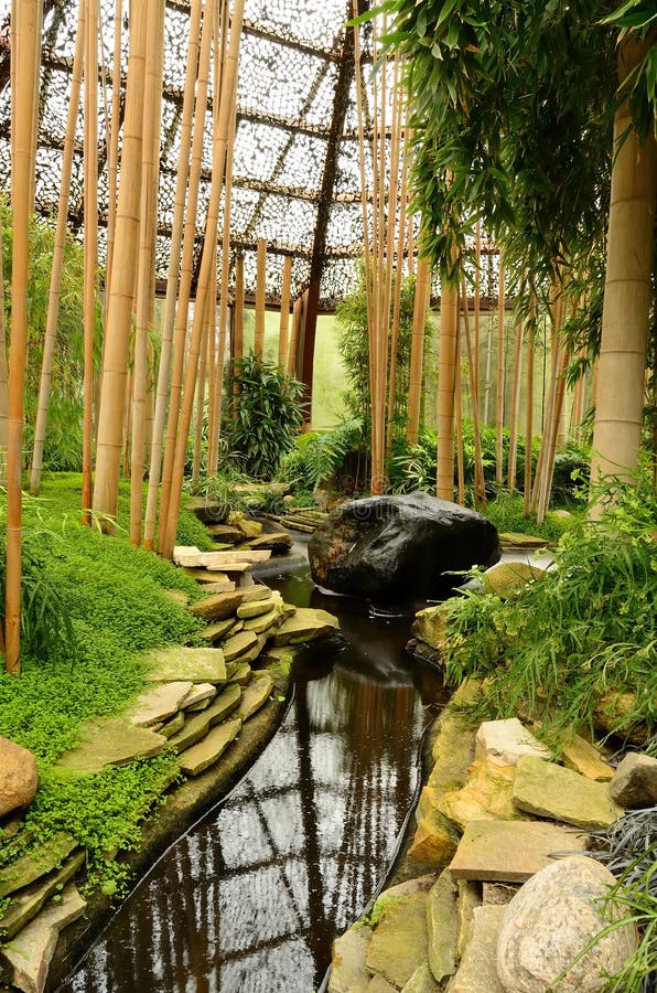 Zengarten des Entspannung stockfoto. Bild von exemplar 31588668