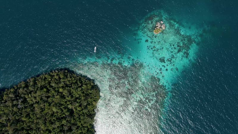 Zenital aéreo con ligera vista de zoom de un arrecife en una isla paradisíaca en raja ampat indonesia almacen de metraje de vídeo