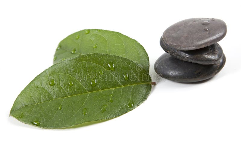 Zensteine und -blätter mit Wasser lizenzfreie stockfotografie Zensteine und -blätter mit Wasser lizenzfreie stockfotografie
