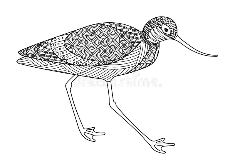 Zentangle decoratieve zwart-witte Avocet stock illustratie Zentangle decoratieve zwart-witte Avocet stock illustratie