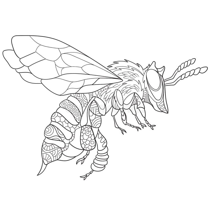 Zentangle estilizó el insecto de la abeja
